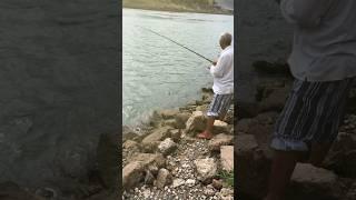 Fish the Lancer with a silage corn bran lure on a white steel spring to catch barbel.#shorts