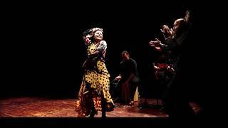 extraits ''iJarana!'' - spectacle flamenco 2020 - Cie flamenca Mathilde Antón