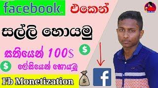 facebook monetization sinhala | Facebook එකෙන් සල්ලි හොයමු - TeRa Click