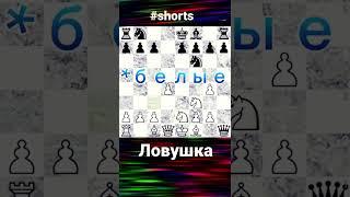 #chess #lichess #shorts #атака #жертва ловушка в скандинавской защите!!!#ловушка