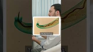 The Man Who Was Dared To Eat A Slug 
