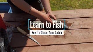 Learn to Fish: How to Properly Clean Your Catch | GoFishBC