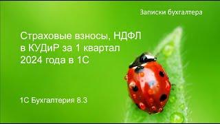 Страховые взносы, НДФЛ в КУДиР за 1 квартал 2024 года в 1С