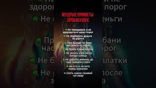 Секреты счастливой жизни #магия #приметы #помощьмага #совет #ритуал #обряд #судьба #жизнь #мистика