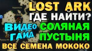 LOST ARK - ГДЕ НАЙТИ? ВСЕ СЕМЕНА МОКОКО - ВИДЕО-ГАЙД - СОЛЯНАЯ ПУСТЫНЯ (Юдия)