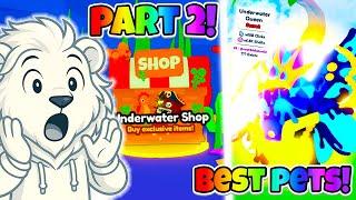  I Completed Summer PART 2 And Got New BEST Pets In Rebirth Champions Ultimate (Roblox)