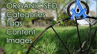 ORGANIC SEARCH ENGINE OPTIMIZATION TECHNIQUES TUTORIAL