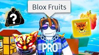 The Roblox Blox Fruits Experience Compilation