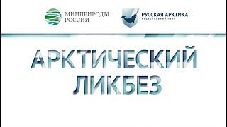 Арктический ликбез. Освоение Северного морского пути. Часть 1.