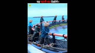 Fish farming in case in water #shorts