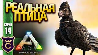 ПРИРУЧЕНИЕ АРГЕНТАВИСА! ARK Survival Evolved #14