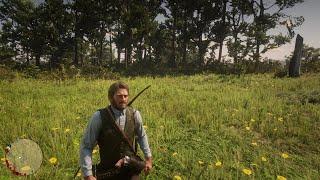 Get $500 (Money Cheat) - Red Dead Redemption 2 Cheats