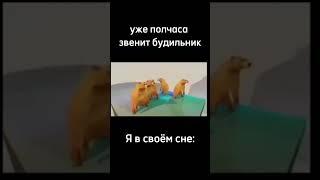 Мем #будильник #медведи #мем