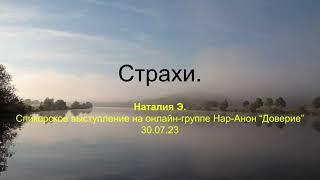 Наталия Э. Страхи. Спикерское выступление на онлайн-группе Нар-Анон "Доверие" 30.07.23