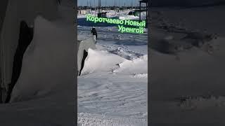 Коротчаево Новый Уренгой #фильм #крайнийсевер