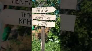 Сказочное место в 40 км от Ташкента #природаузбекистана #узбекистан #паркент #сукок #животныесмешные