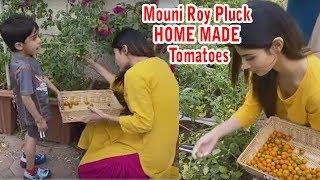 Mouni Roy PLUCKS JUICY HOME TOMATOES for Cooking with Nephew in Lockdown