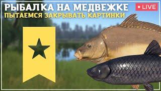 СТРИМ┃РЫБАЛКА НА МЕДВЕЖКЕ - ПЫТАЕМСЯ ЗАКРЫВАТЬ КАРТИНКИ┃maXS1k