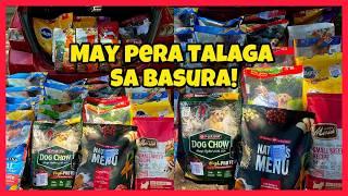 dumpster diving 2025 PET FOOD JACKPOT!