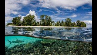  MÚSICA RELAXANTE sem Direitos Autorais  NATUREZA