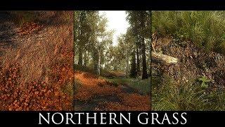 Skyrim LE Mods - Northern Grass