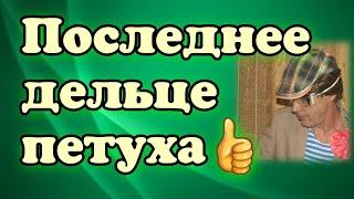 Последняя кража и экспромт / Петух рассказывает о себе