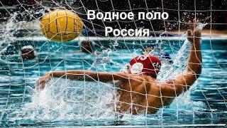 ВОДНОЕ ПОЛО Трансляция чемпионата России по водному полу