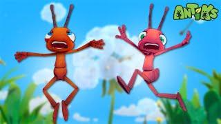 All Bottled Up |  Antiks & Insectibles  | Funny Cartoons for Kids | Moonbug