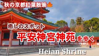 11/22(金)秋の京都紅葉散策平安神宮の美しい神苑を歩く【4K】Heian Shrine