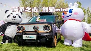 萌系之选 吉利熊猫mini