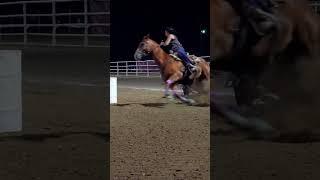 #nsca #omoksee #horse #rodeo #horseshow #western #westernriding #aqha #youtubeshorts #subscribe