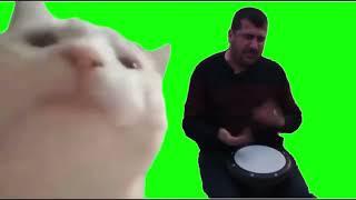 Cat-Vibing-meme-Green-Screen | @chromakuts