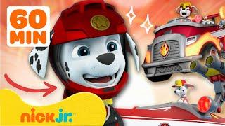 PAW Patrol | ¡Las misiones más grandes de Marshall! | Compilación de 1 hora | Nick Jr. en Español
