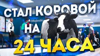 СТАЛ КОРОВОЙ на 24 ЧАСА в GTA 5 RP MAJESTIC/ ГТА 5 РП МАДЖЕСТИК / БУДНИ БОМЖА