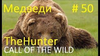 Мир охоты theHunter Call of the Wild  Медведи  # 50