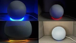 What the colors on your Alexa Device means