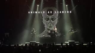 Animals As Leaders - Wave of Babies (Live @ Moscow Red Club 07-08-2019)