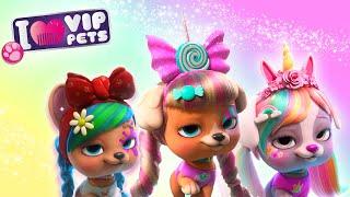  TOP HAIRSTYLE  VIP PETS  HAIRSTYLES ‍️ Full Episodes  CARTOONS for KIDS in ENGLISH