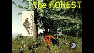 ГДЕ ЕНОТ ? THE FOREST. В ПОИСКАХ ЕНОТА