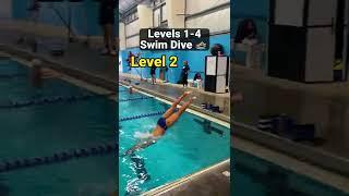 How To Dive for Swimming (Levels 1-4)