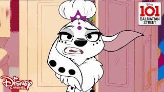 My Fair Dolly | 101 Dalmatian Street | Disney Channel Africa