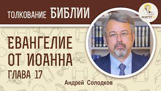 Евангелие от Иоанна. Глава 17. Андрей Солодков. Новый Завет