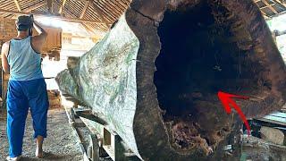 A Surprise at the Sawmill: Revealing the Secret of Hollow Teak Wood
