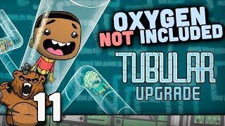 Água quente em pedra fria | Oxygen Not Included #11 - Gameplay Português PT-BR