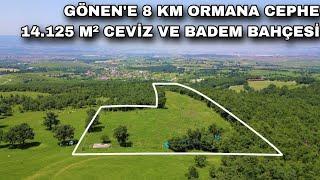 1752- GÖNEN'E 8 KM MESAFEDE ORMANA CEPHE 14.125 M² CEVİZ VE BADEM BAHÇESİ