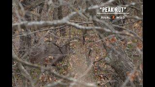 RIVAL WILD - Peak Rut - Keefer Bros