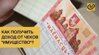 Куда вложить чеки "Имущество" и стать преуспевающим акционером? // Советы экономиста