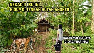 Nekad !! Ibu Ini Tinggal Di Hutan Angker ! Kalau Malam Di Jaga Harimau Siluman Penguasa Hutan.