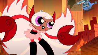 Blisstersweet Symphony (Part 5 - Full Episode) | The Powerpuff Girls | Cartoon Network Asia