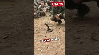 Cobra is my friend| Uta Tvpt.73 |funny satisfying videos | #shorts #2023 #viral #trendingshorts